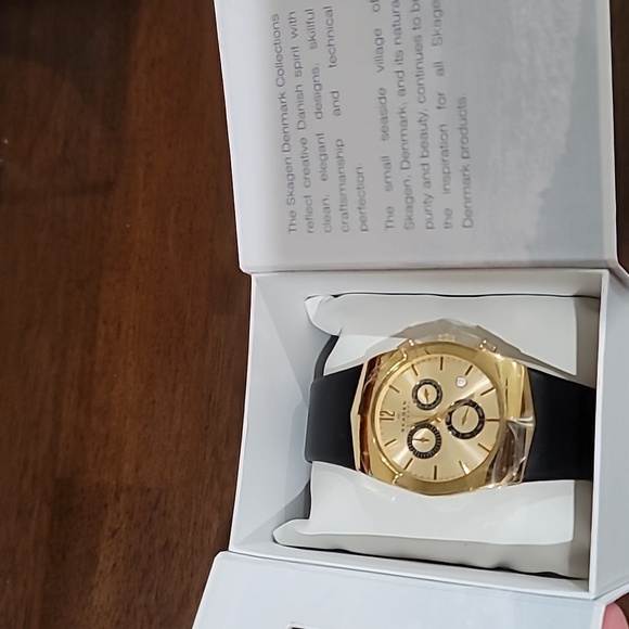 Skagen Denmark watch New In Box